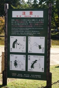 One of the signs warning of deer-related problems that could happen. I love these illustrations!