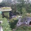 The view from the rooftop of the Ghibli Museum was awesome.