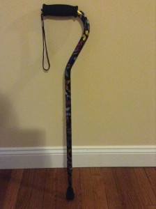 Flutterz the Cane, on loan to me from the physical therapist