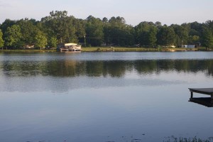 Somewhere in the vast middle of this lake is an otter that wouldn't let me take his picture